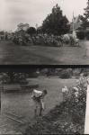 1969 Gardens outside Clarke's Res